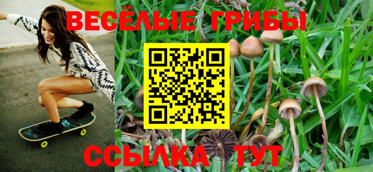Псилоцибиновые грибы Magic Shrooms Арсеньев